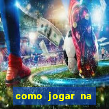 como jogar na lotinha do jogo do bicho